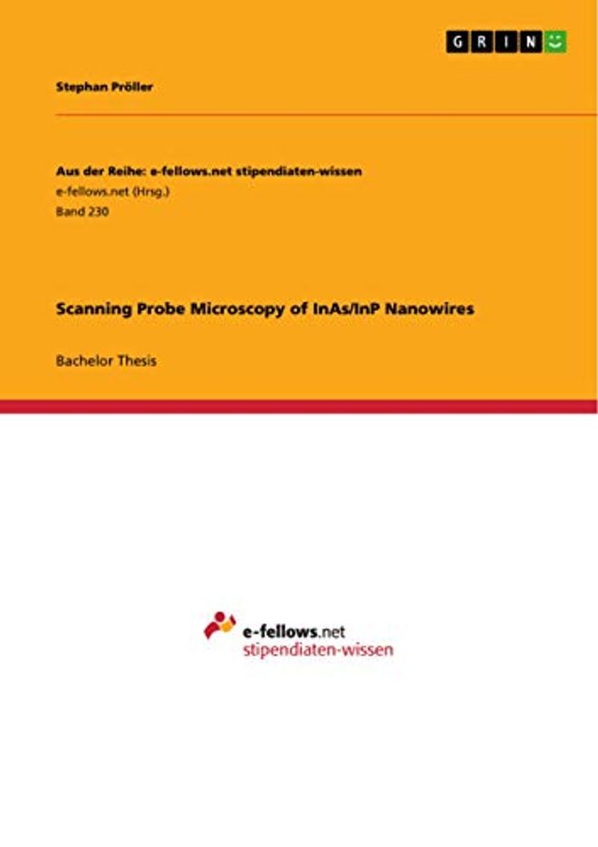 Scanning Probe Microscopy of InAs/InP Nanowires